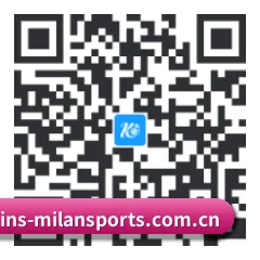 系统版 iOS 二维码